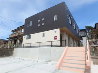 ステラトキの画像