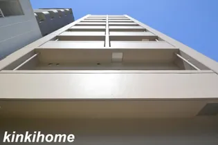 白島森野ビル【8階】の外観