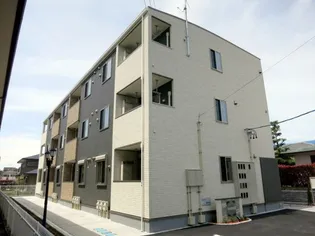 リトル ベルの画像