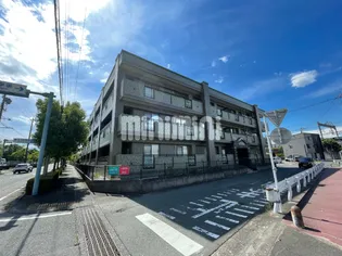 グライス武藤の画像