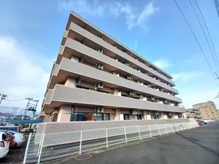 アイーラ渡辺の画像