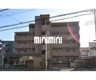 オキザリスの画像