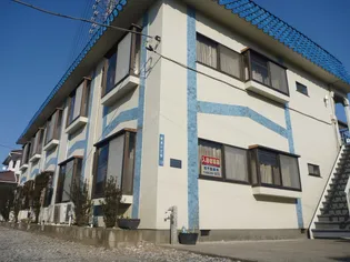 フラット ブルーノの画像