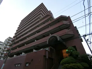 シティハウスノヴァの画像