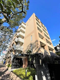 BRIGHTSIDE HILLSの画像