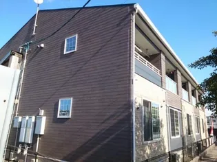 サンフラワーKの画像