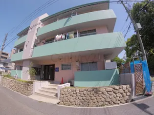 バイオレットコーポの画像