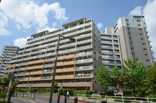 ロイヤルパークスリバーサイド【6階】の外観