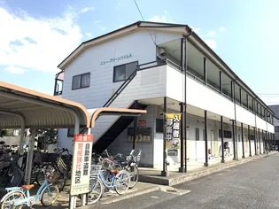 ニューグリーンハイムA【1階】の外観
