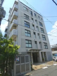 1STAVENIRの画像