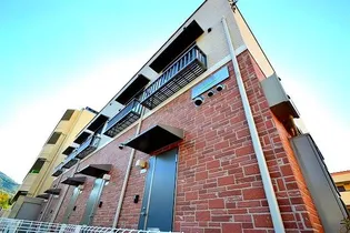 セラサス コリスの画像