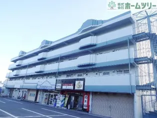 テピカルイブの画像