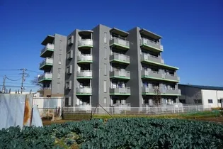 ポムドテールの画像