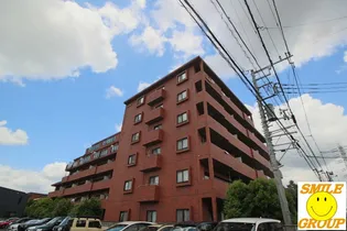 フローラルマキノの画像