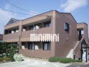 ウィング コートの画像