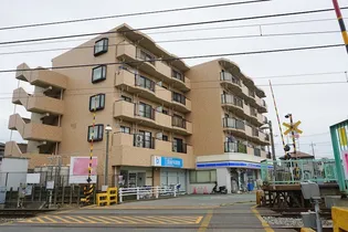 サン パティークの画像
