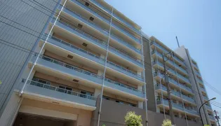 東京都江東区白河4【マンション】の外観