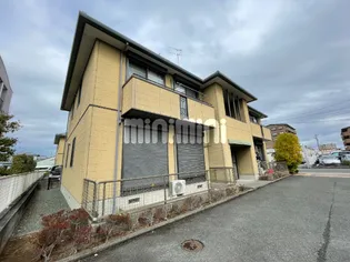 コートモデルノBの画像