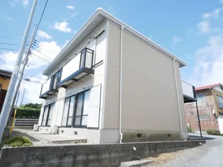 サンフローラの画像