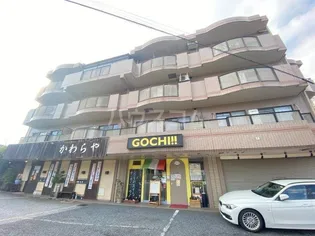 ハイルーツビル【4階】の外観