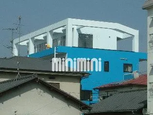 SEAGAL Y IIの画像