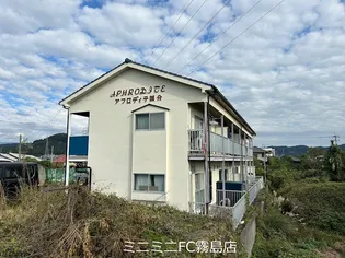 アフロディーテ国分【2階】の外観