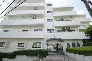 グローリア初穂菊名の画像