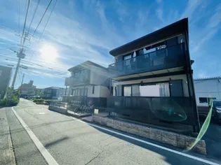 サザンウィングI IIの画像