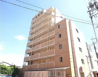 ノプレア加志雅の画像