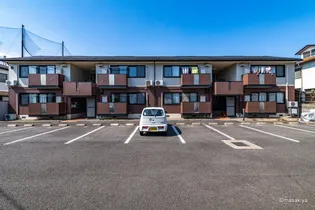 トミユウ ボラタの画像