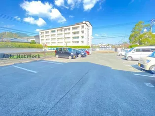 ウィルモア島崎の画像