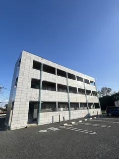 ラフィーネの画像