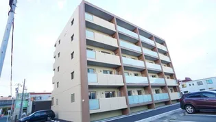 COCOの画像