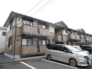 サザンクロスの画像