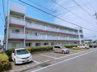 メゾンぴゅあの画像