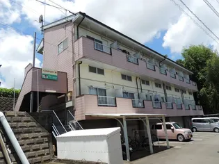 コンフォート岡【2階】の外観