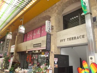 アイビーテラスビルの画像