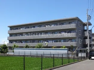 オークIIの画像