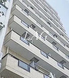 ルックハイツ新宿【4階】の外観