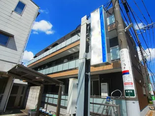 SAARISELKA 柏 サーリセルカ カシワの画像