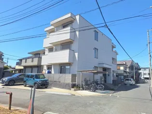 サザンクロスの画像