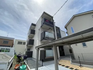 F ASECIA BOEHMの画像