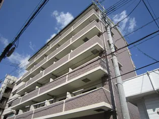 GRAND COLLINEの画像