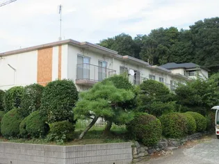 サンホワイトFの画像