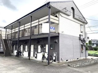 パレスカトレアの画像