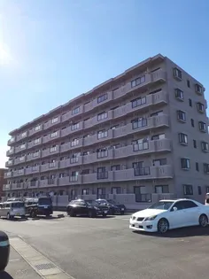 サンセールの画像