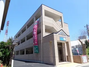 しろくまの画像