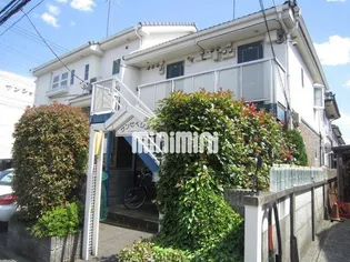 サンセベリアの画像