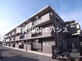 パオ ヤマニシの画像