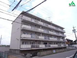 ハピネス緑の画像